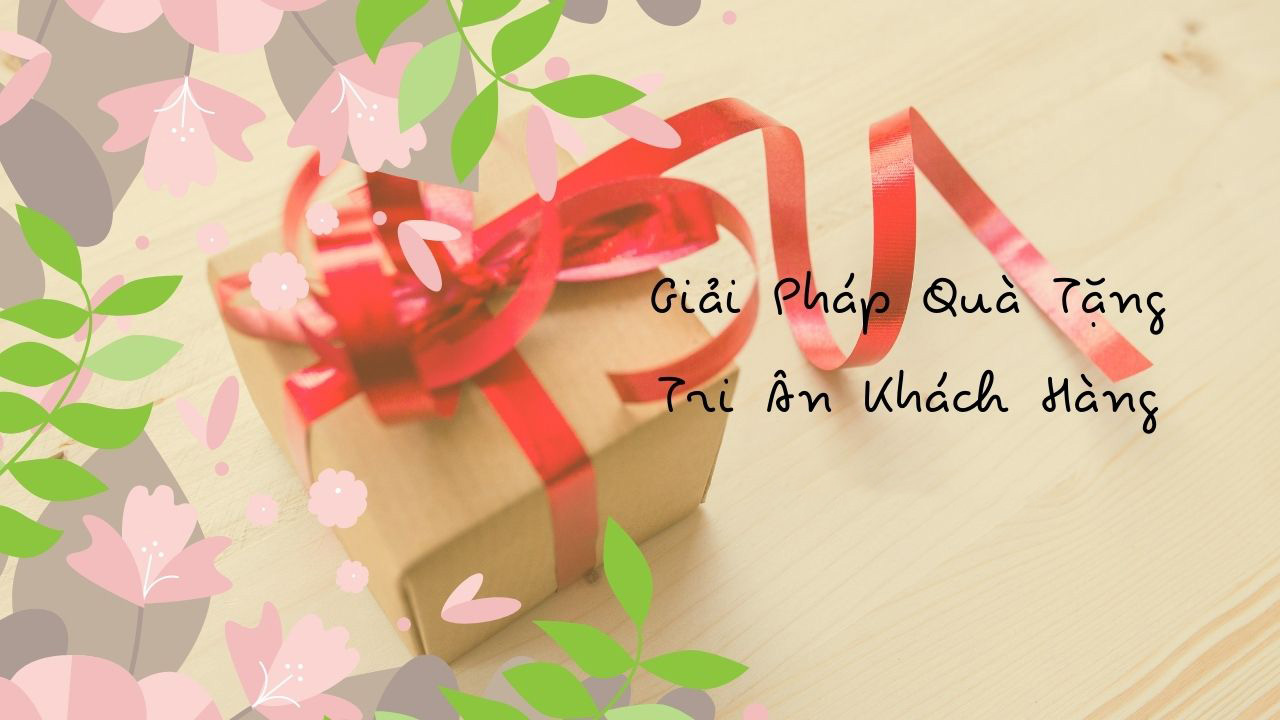 Chính sách dịch vụ và tri ân hấp dẫn